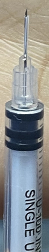 Figure 1 The final appearance of the custom microneedle.