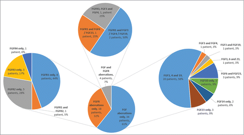 Figure 2. Specific FGF/FGFR aberrations found in patient population. Of 391 patients, 56 had FGF or FGFR aberrations (14%). Of these 56 patients, 22 had aberrations in FGFR1, 2, 3 or 4; and 38 had amplification in FGF3, 4, 6, 10, 14, 19 or 23. The figure shows the frequencies of FGF receptor aberrations and FGF ligand aberrations. Note that some patients had both FGF and FGFR aberrations