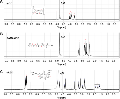 Figure S1 1H-NMR spectra of (A) α-CD, (B) PAMAMG2, (C) cRGD, (D) CDG2, and (E) CDG2-cRGD.Abbreviations: CD, cyclodextrin; CDG2, PAMAMG2-g-cyclodextrin; cRGD, cyclic arginylglycylaspartic acid peptide; D2O, deuterium oxide; 1H-NMR, proton nuclear magnetic resonance; PAMAMG2, Generation 2 polyamidoamine.