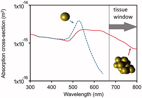 Figure 4. Optical absorption cross-sections for an isolated gold nanosphere of 15 nm diameter, and a random cluster of twenty spheres.