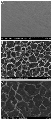 Figure 1 Surface SEM views of Ti (A), NT (B), and Ag-NT (C) samples.Note: Scale bar = 1 μm.Abbreviation: SEM, scanning electron microscopy.