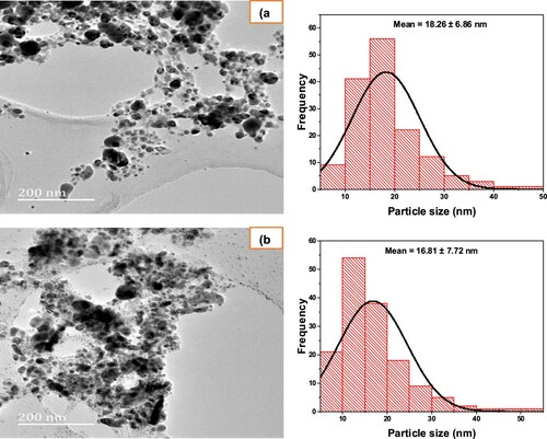 Figure 5. TEM image of the synthesized (a) AgNP05 and (b) AgNP01 from D. carota leaf extract (DCLE).