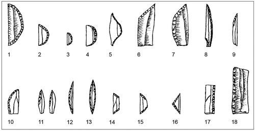 Figure 7. DEN12-A01: backed tools typology: 1) large segment; 2) micro-segment; 3) very small segment; 4) micro-segment with crossed backing; 5) segment with curved ends; 6) backed point with oblique truncation; 7) convex backed point; 8) backed point with notch; 9) long unilaterally retouched micro-point; 10) short unilaterally retouched micro-point; 11) alternately retouched micro-point; 12) long unilaterally retouched micro-doublepoint; 13) long symmetrical bilaterally retouched micro-doublepoint; 14) elongated isosceles trapeze with straight truncation; 15) segment-like isosceles trapeze with convex truncation; 16) isosceles triangle; 17) backed bladelet; 18) (broken) backed blade.