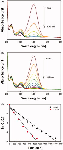 Figure 8. UV-visible spectra of the 4-NP reduction reaction by sodium borohydride in the presence of the OE-AuNP catalyst. (A) 120-μL addition of the OE-AuNP catalyst, (B) 63-μL addition of the OE-AuNP catalyst, and (C) a plot of ln(Ct/C0) as a function of time (sec) from the data of (A) and (B).