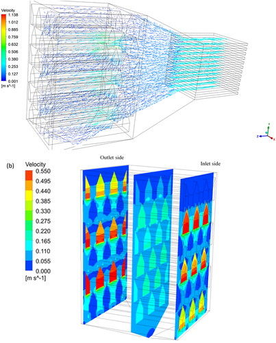 Figure 4. Drying air velocity distribution: (a) velocity vectors at the dryer assembly (heat exchanger, connection, and dryer) along the central inlet duct; (b) velocity contour at different sections of the dryer (1 cm from inlet, center, and 1 cm from outlet).