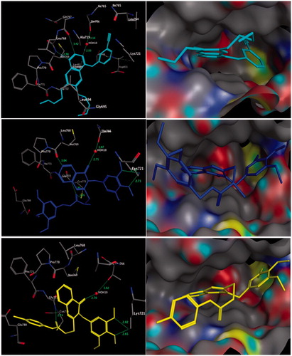 Figure 2. Three-dimensional (3D) interactions of erlotinib (upper panel), compounds 19 (middle panel) and 7 (lower panel) with the receptor pocket of EGFR kinase. Hydrogen bonds are shown with a green line.