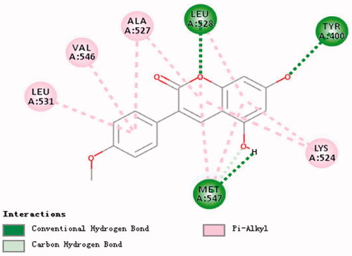 Figure 12. Research on molecular docking of compounds 32 and BSA.