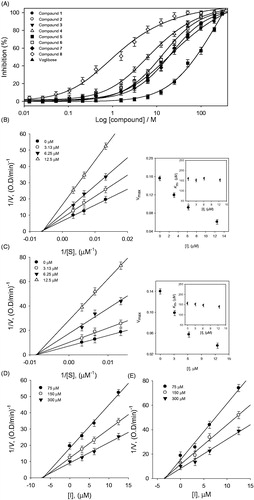 Figure 4. (A) Inhibitory effects of compounds (1–8) on α-glucosidase activity. (B and C) Linweaver–Burk plots of compounds 4 and 8 for the inhibition of α-glucosidase catalyzed hydrolysis of p-nitrophenyl glucopyranoside. (D and E) Dixon plots of inhibition of α-glucosidase by compounds 4 and 8, respectively, which were used for determination of Ki values.