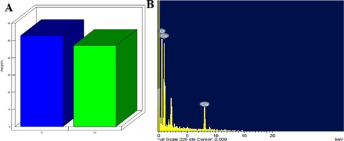 Figure 2. A & B – EDS analysis showing the presence of copper and oxygen in nanoparticles.