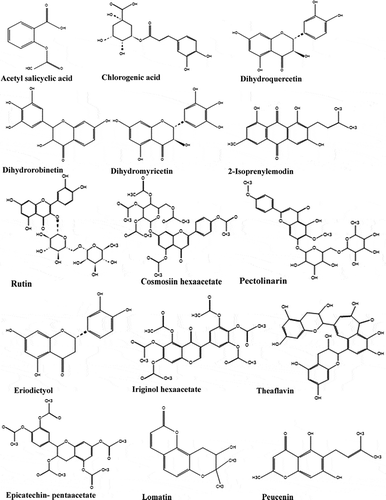 Figure 2. Polyphenols in the 80% acetone fruit extracts of V. mullaha.