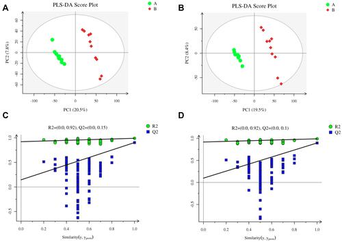 Figure 5 Metabolomics analysis of serum samples from rats in the LPS and control groups (n=10 per group) in the positive and negative ion modes. Partial least squares-discriminant analysis (PLS-DA) score plot in the (A) positive and (B) negative ion modes. Permutation test of PLS-DA model in the (C) positive and (D) negative ion modes.