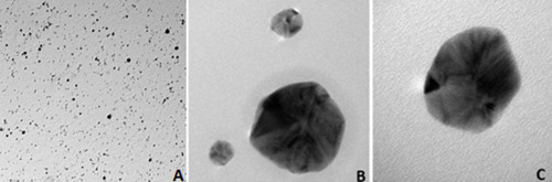 Figure 3 Transmission electron microscopic images of silver nanoparticles: (A) magnification at 29,000x (100 nm scale); (B) magnification at 280,000x (20 nm scale); (C) magnification at 700,000x (10 nm scale).