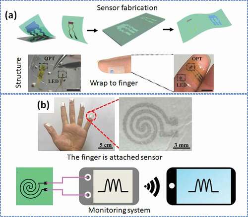 Figure 4. a) The photoplethysmogram (PPG) sensor hybrids an organic phototransistor (OPT) with an inorganic light‐emitting diode for cardiovascular monitoring, consisting of the fabrication process, the real picture of the sensor, and the OPT-LED structure are directly laminated onto the finger. Reproduced with permission from Ref [Citation93]. copyright 2017 Wiley-VCH. b) The fingers of the hand are attached to the nanomesh film devices for tissue-temperature sensing and schematic illustration of remote monitoring of the sensing performance of the assembled film devices by wireless communication with a mobile phone. Adapted with permission from Ref [Citation94]. copyright 2019 Wiley-VCH