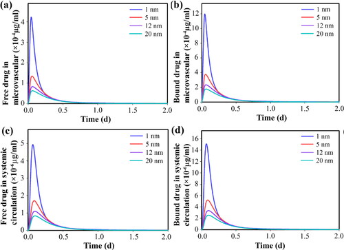 Figure 8. Temporal distribution of free- and bound drugs in blood stream by considering secondary nanoparticles in different sizes, for 150-nm primary nanoparticles; Temporal distribution of (a) free drugs in tumor microvascular network, (b) bound drugs in tumor microvascular network, (c) free drugs in circulation, (d) bound drugs in circulation.