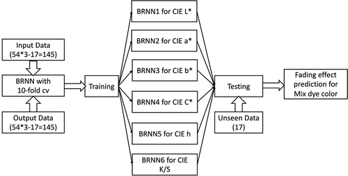Figure 5. A flowchart showing how BRNN models predict fading effects.