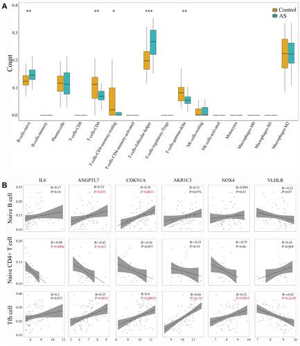 Figure 5 Identification of immune infiltration and its correlation relationship with DE-FRGs. (A) Proportion of immune cell subtypes exhibited in boxplot diagram with Wilcoxon test. Significance markers: *P < 0.05; **P < 0.01; ***P < 0.001. (B) Pearson correlation coefficient analysis between immune cells and DE-FRGs. P values of P < 0.05 were labeled with red color.