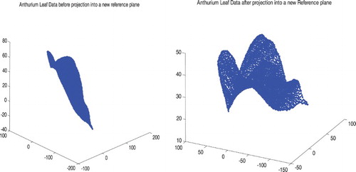 Figure 2. The Anthurium leaf data before projection into a new reference plane (left figure) and after projection (right figure).