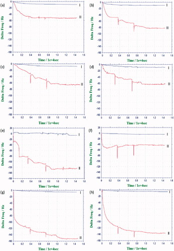 Figure 5. Resonance frequency shift of the uncoated (a) and 11-MUA (b), 2-mercaptoethanol (c), 2-mercaptoethylamine (d), PLGA nanofiber (e), PLGA film (f), PCL (g) and PS (h) coated crystal surfaces upon the addition of culture medium (I) and MSC suspension (II) for 4 h at 37 °C.