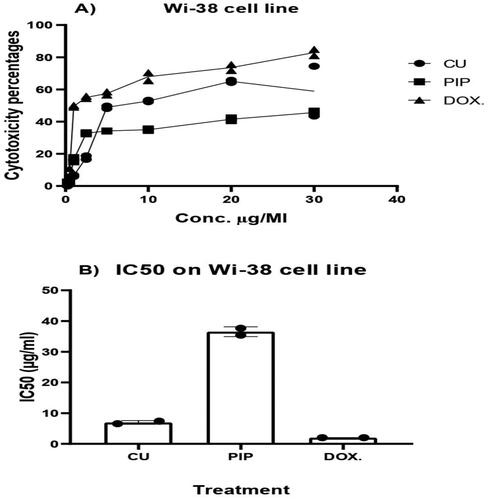 Figure 6. Cytotoxicity assay of CU suspension and PIP loaded BL on Wi-38 cell line.