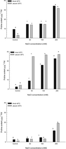 Figure 4. Combined effects of salinity and temperature on the content of proline of two Sorghum bicolor cultivars (n = 4, Mean ± S.E.). Different letters indicate significance of two-way interactions between salinity and temperature. Means that do not share a letter are significantly different.