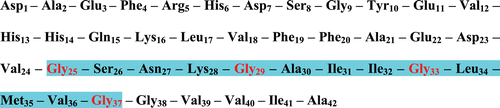 Figure 1.  Amino acid sequence of Aβ-peptide (1–42). The highlighted region shows the glycine zipper.