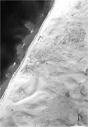 Figure 2. Aerial photograph of Ashdod-Yam, 1944 (courtesy Survey of Israel).