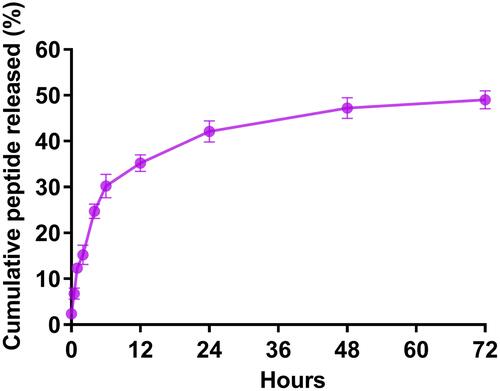 Figure 3 In vitro release of rOmp22 from CS-PLGA-rOmp22 NPs.