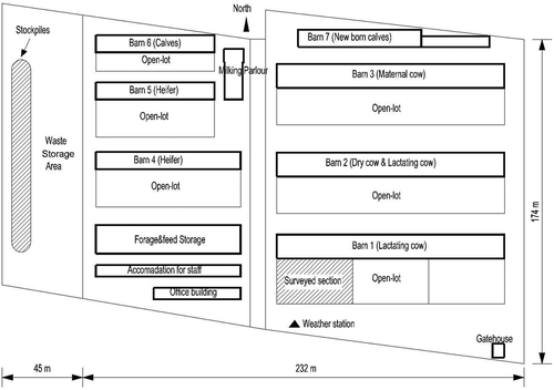 Figure 1. Layout of dairy farm and experimental section in field measurements (surveyed open lots and manure stockpiles are marked with cross lines).