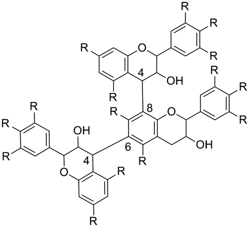 Fig. 4. Branched proanthocyanidin structure (R=H or OH).