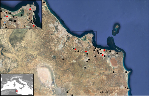 Fig. 1 Geographic distribution of PCR-positive human, avian and pooled mosquito samples in the Monastir governorate, Sahel region, Tunisia. 1,Bembla; 2, 8, Kniss; 3, Monastir; 4, Moôtmar; 5, Ouardanine; 6, Sayada; 7, Ksar Helal; 9, Agba; 10, Moôtmar- Sahline; 11, Oued khniss; 12, Ouardanine Oued el Guelta. Red circles: positive human samples. Black circles: negative human samples. White triangles: positive mosquito pools. Black triangles: negative mosquito pools. Blue square: positive bird sample. Black squares: negative bird samples