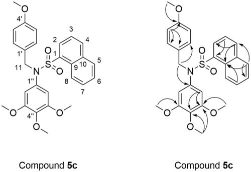 Figure 3. Chemical structure and key HMBC correlations of compound 5c.
