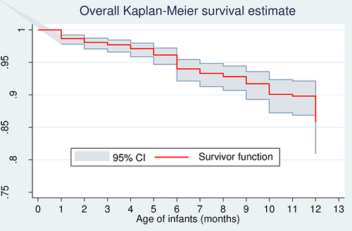 Figure 2 Overall Kaplan–Meier survival estimate.