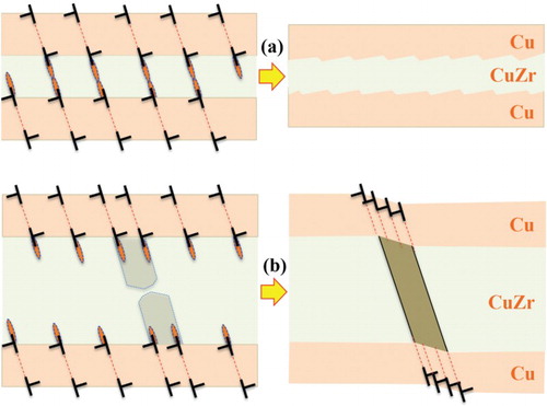 Figure 12. Schematics of plastic deformation modes with respect to the CuZr layer thickness. (a) Plastic co-deformation in the thin CuZr layers, showing plastic deformation in the Cu layers via slip on {111} planes and the formation and reaction of STZs in the CuZr layers. The red ellipses represent STZs. (b) The formation and propagation of shear bands in the thick CuZr layers, showing propagation of shear bands into the Cu layers, are accomplished via the formation of slip bands on {111} planes. The dashed lines represent {111} planes nonparallel to the layers.