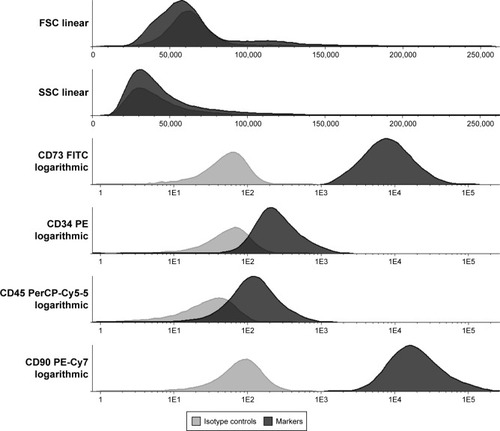 Figure 4 Immunophenotyping of the ADMSC: the cytometry showed that the ADMSC were positive for the protein membrane markers CD73 and CD90 and negative for CD34 and CD45.Abbreviations: ADMSC, adipose-derived mesenchymal stem cells; PE, phycoerythrin; FITC, fluroscein isothiocyanate.