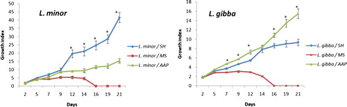 Figure 3. Growth index of L. minor and L. gibba on SH, MS and AAP media on day 2, 5, 7, 9, 12, 14, 16, 19 and 21.