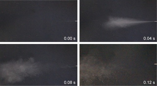 Figure 4 Images representing the aerosolization behavior of NEPMs using a dry powder insufflator.