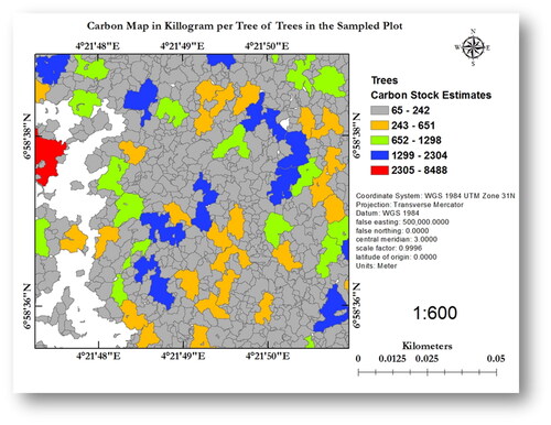 Figure 6. Carbon stock estimates of individual trees in kilograms in the sampled plot.