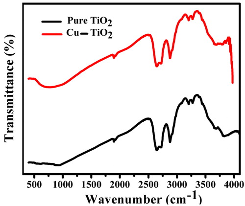 Figure 2. Comparison of the FTIR spectrums of pure TiO2 and Cu-TiO2.