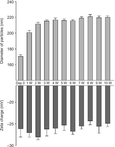 Figure 1 Diameter and zeta charge of FGF-2&D/P NPs stored at room temperature.