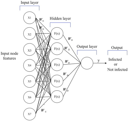 Figure 14. The architecture of the proposed graph MLP model for binary classification.
