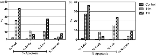 Figure 4. Percentage of apoptotic and necrotic cells in T-47D (A) and MDA-MB-231 (B), with respect to untreated control cells, upon treatment with pyridazines 11l and 11m.