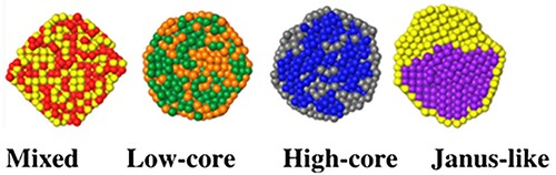 Figure 6. Four types of structures possible as seen from molecular dynamics (MD) and Monte Carlo (MC) simulations for 50:50 bimetallic composition. Image adapted from Ref. [Citation18].