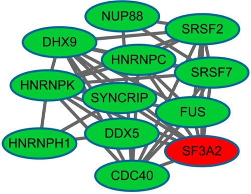 Figure 2 The constructed sub-network of differentially expressed genes (DEGs).