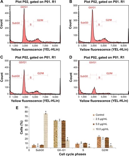 Figure 4 Cell cycle histograms from analyses of MCF7 cells treated with 0 (A), 2.5 (B), 5 (C), and 10 μg/mL (D) of koenimbin for 12 hours. (E) Summary of cell cycle progression for control and koenimbin-treated MCF7 cells.