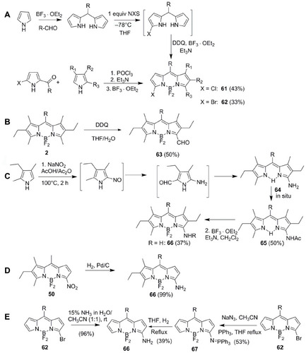 Figure 11 Synthesis of (A) 3-halo, (B) 3-formyl, (C–E) 3-amino functionalized BODIPYs 61–66.