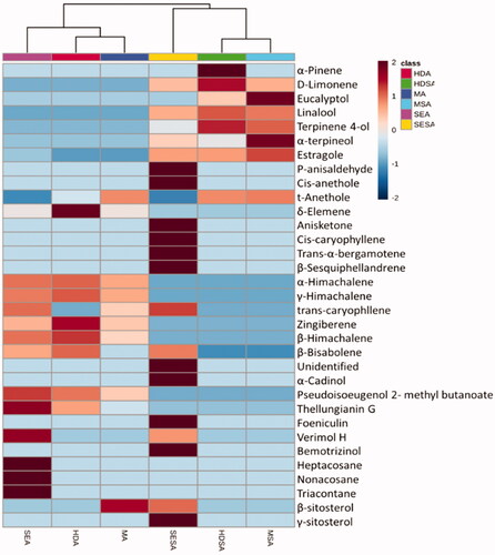 Figure 4. Heatmap represents the relative abundance of volatile metabolites extracted from anise and star anise fruits. Hierarchical clustering was done using Pearson’s correlation and average linkage. Heatmap colours represent log10 and Pareto-scaled values of relative metabolite abundance as indicated in the colour key. SEA: solvent extraction anise; MA: microwave extraction anise; HDA: hydro-distillation anise; SESA: solvent extraction star anise; MSA: microwave extraction star anise; HDSA: hydro-distillation star anise.