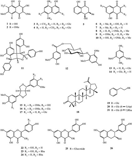 Figure 1. The chemical structures of isolated compounds (1–26) from N. mirabilis.