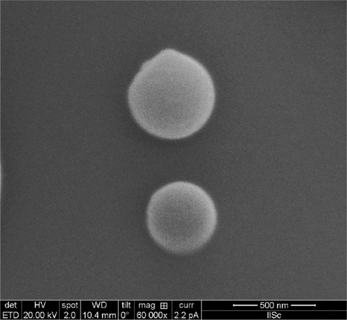 Figure 1 Scanning electron micrograph of spraydried nanospheres.