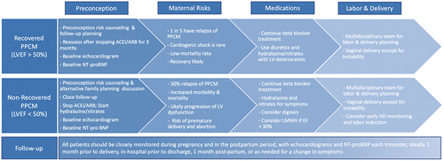 Figure 2 Subsequent pregnancy for patients with history of PPCM. The risks and recommendations vary based on the patient’s LVEF recovery status. The risks are much higher in those with non-recovered PPCM (LVEF <50%) and pregnancy should be discouraged in these patients.