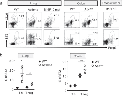 Figure 3. ST2 and CD25 staining of CD4+Foxp3+ T cells from various mouse tumor models and lung inflammation. (a) Representative flow cytometric analysis of Tregs from tumor tissues or lung during allergic inflammation. (b) Percentage of ST2 positive cells in Th (T helper cells) and Tregs. Each dot represents an individual mouse (n = 3–4 mice per group). NS, no significant difference. Data are mean and s.d